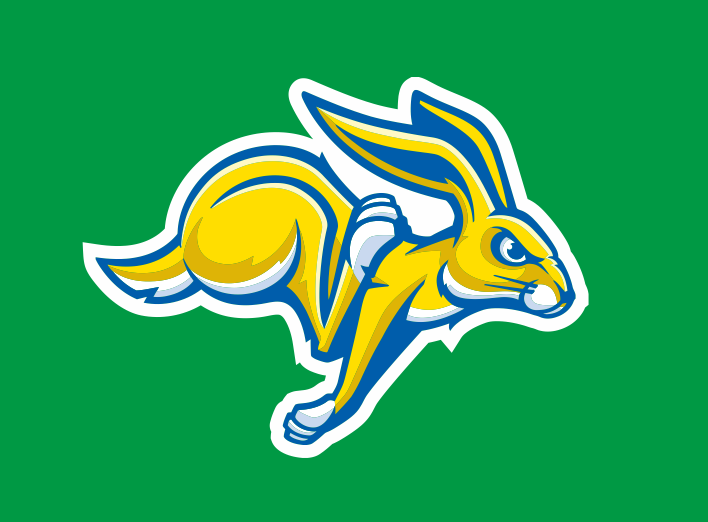 South Dakota State logo 18 02 inches vinyl decal